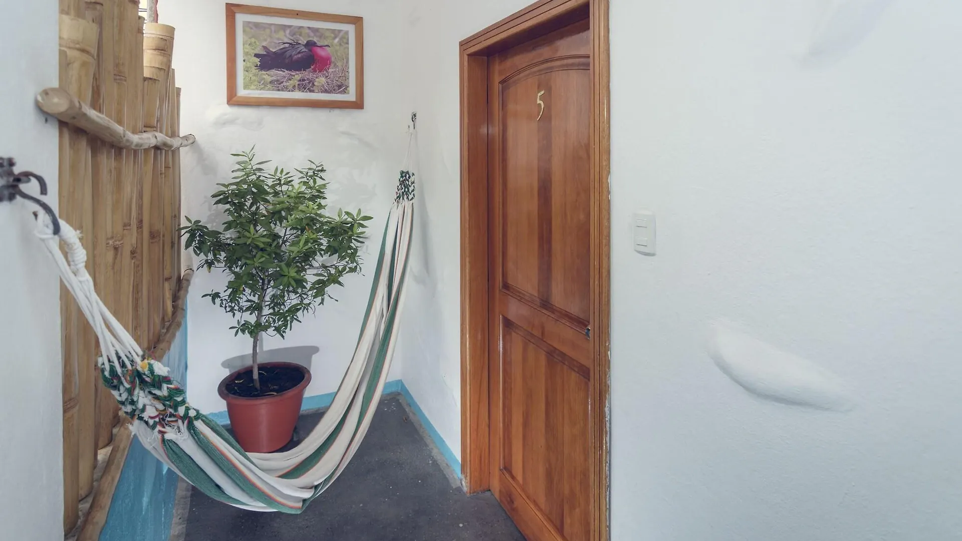 Hostel Galapagos Native Puerto Ayora